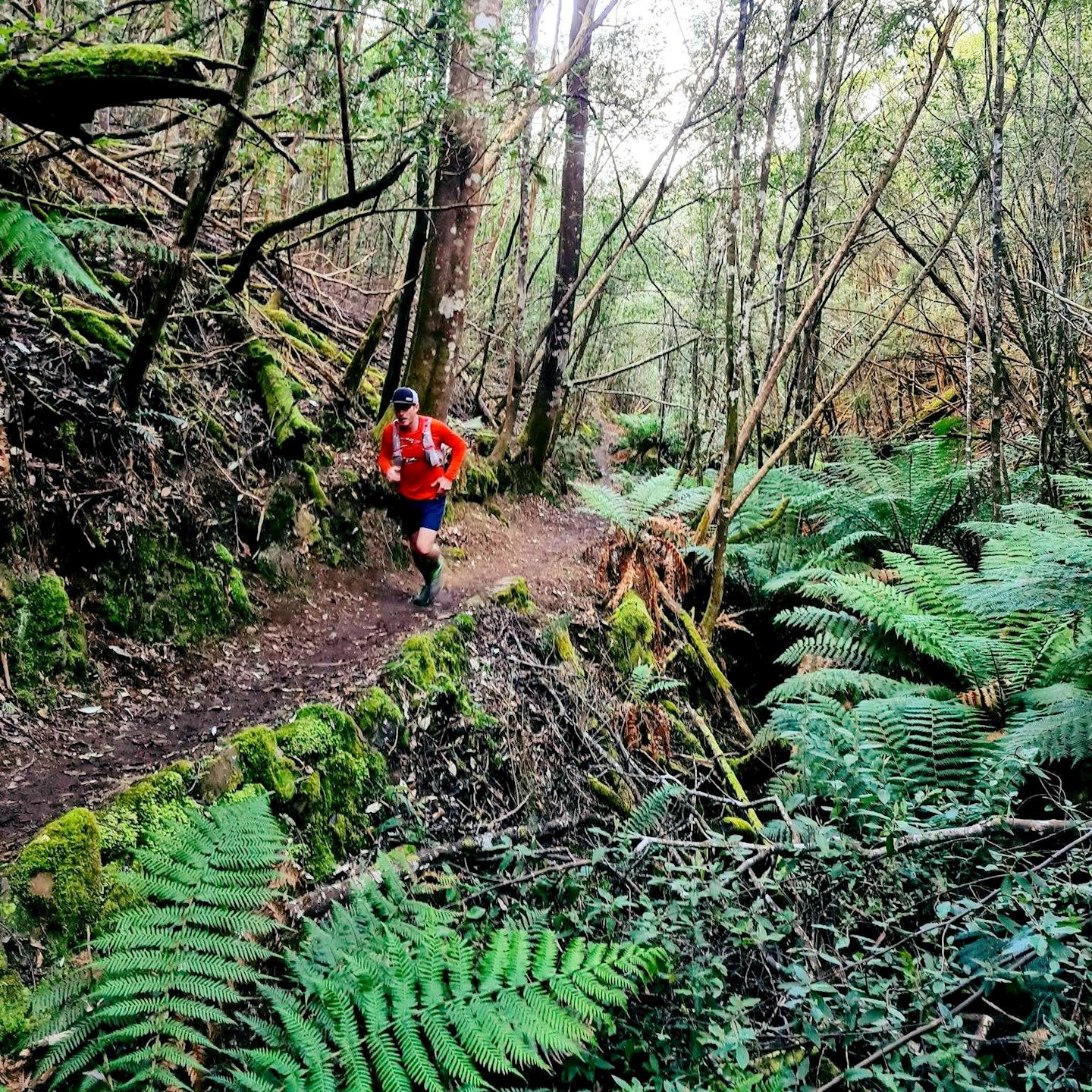 kunanyi mountain run