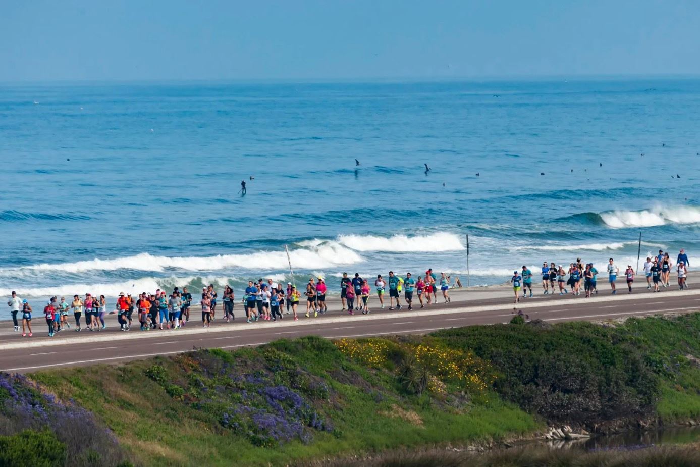 la jolla half marathon