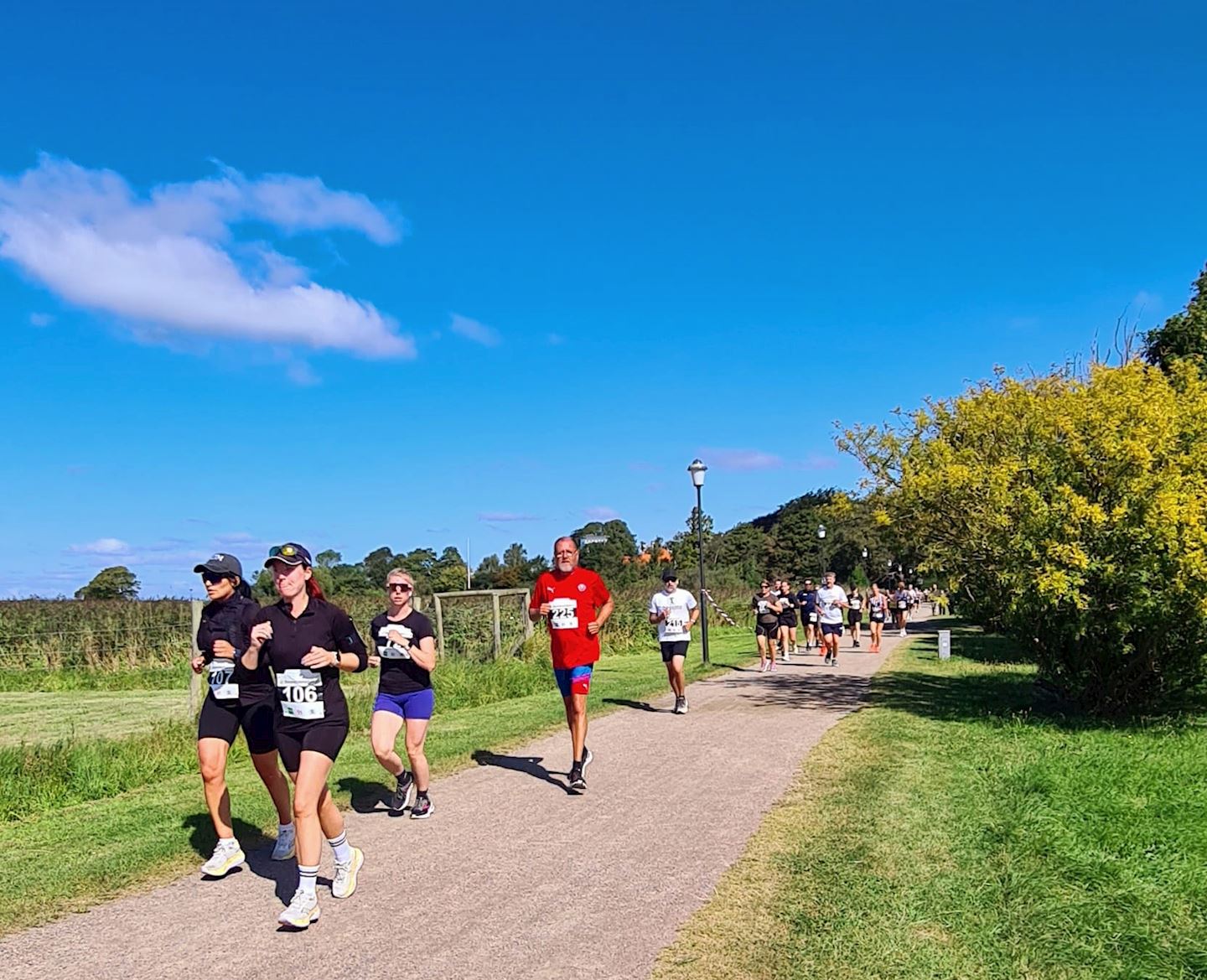landskrona halvmarathon