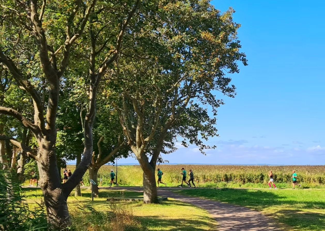 landskrona halvmarathon