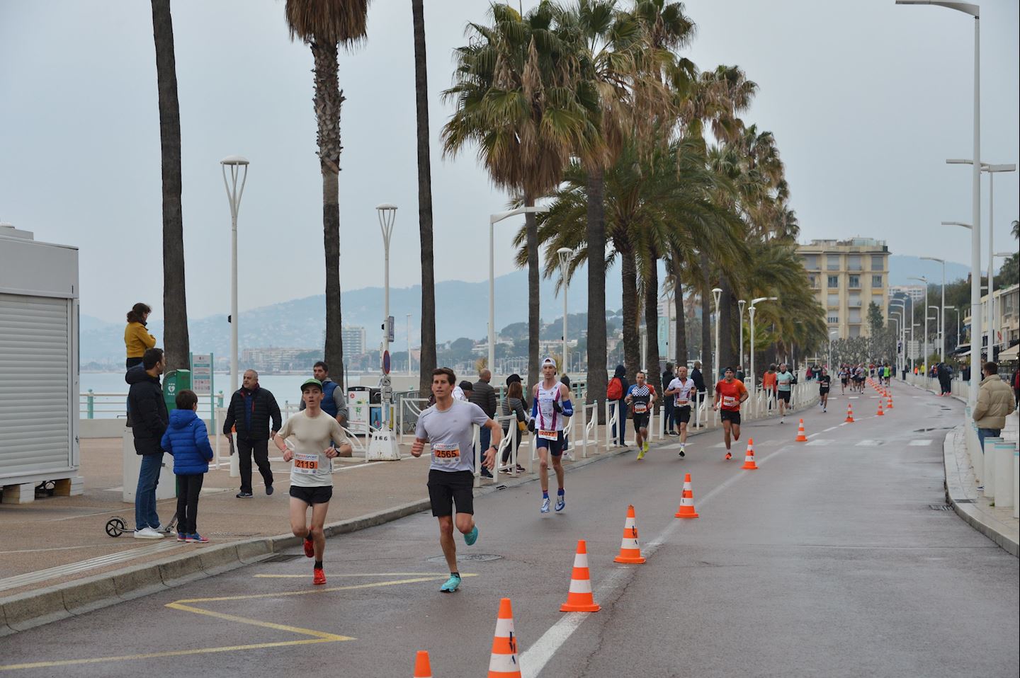 le semi de cannes