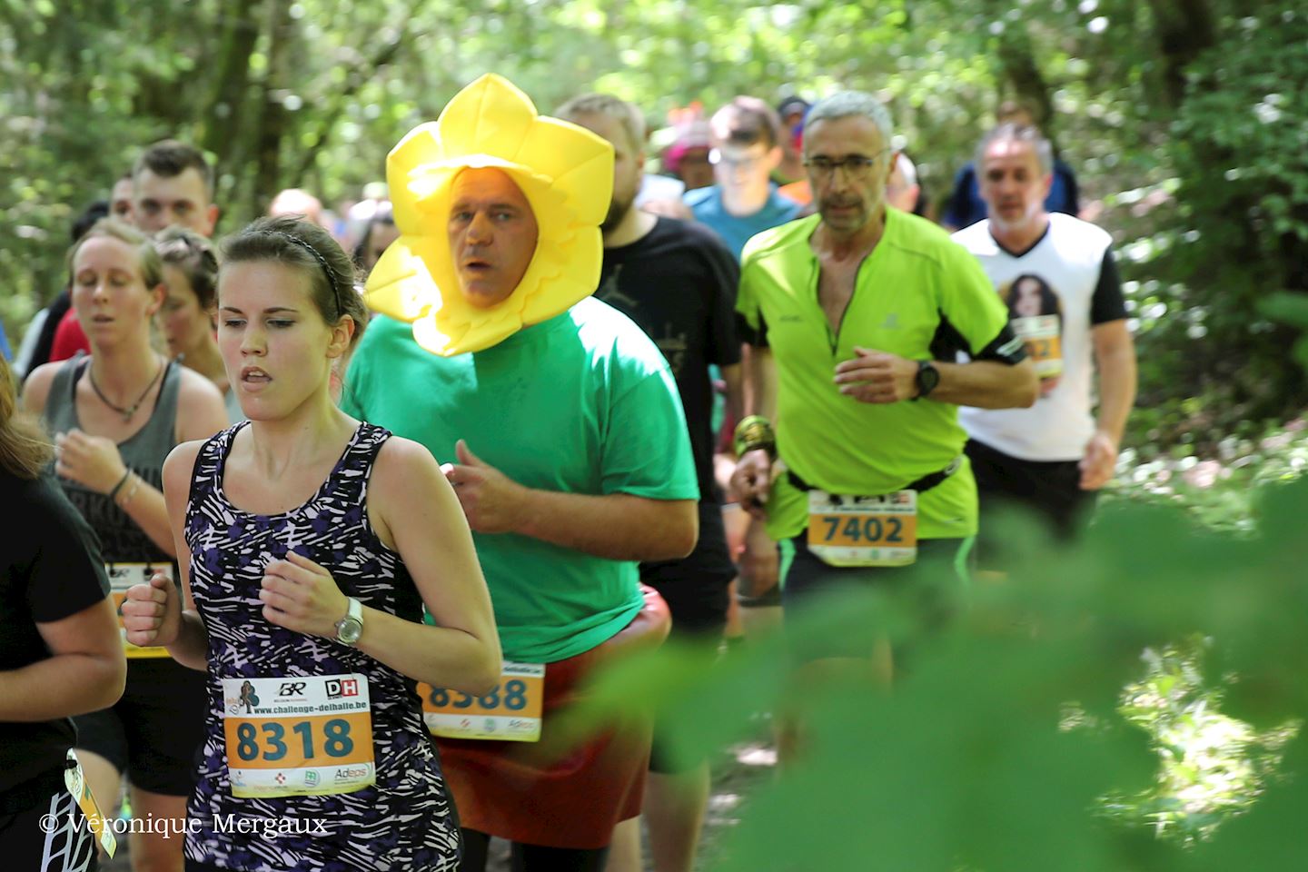 les forges de la foret danlier