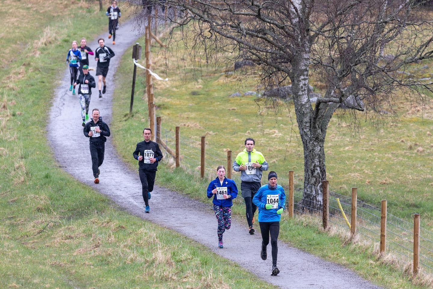 lidingoloppet varmilen