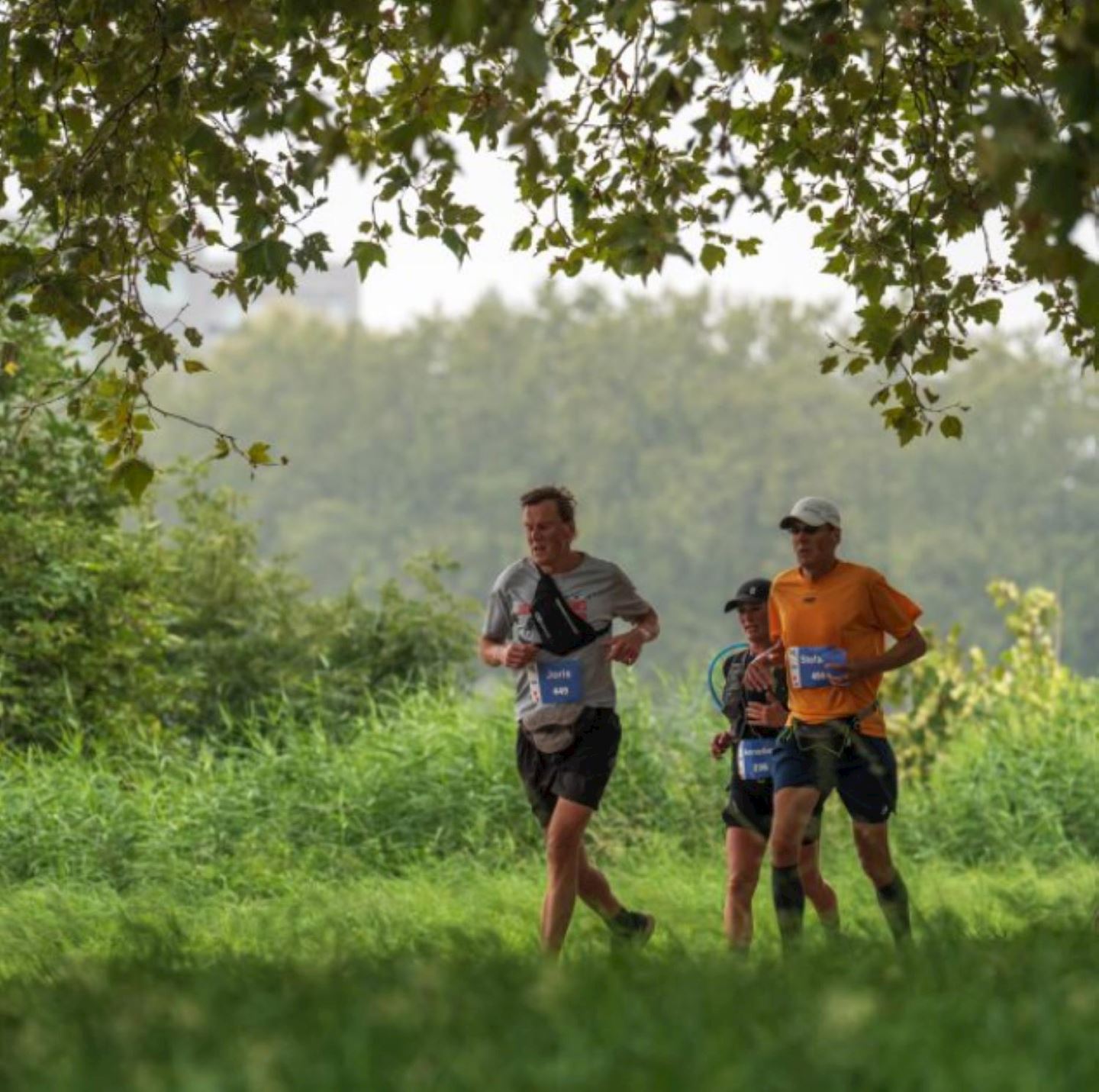 linker oevert marathon antwerpen