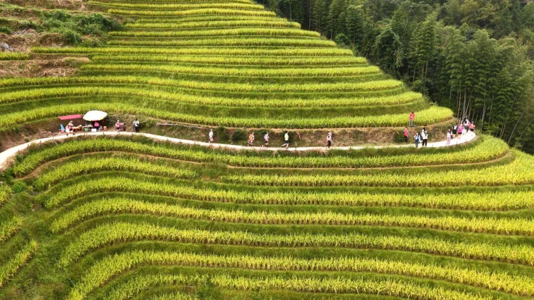 longji terraces trail running race