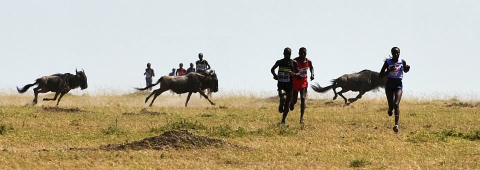 maasai mara marathon