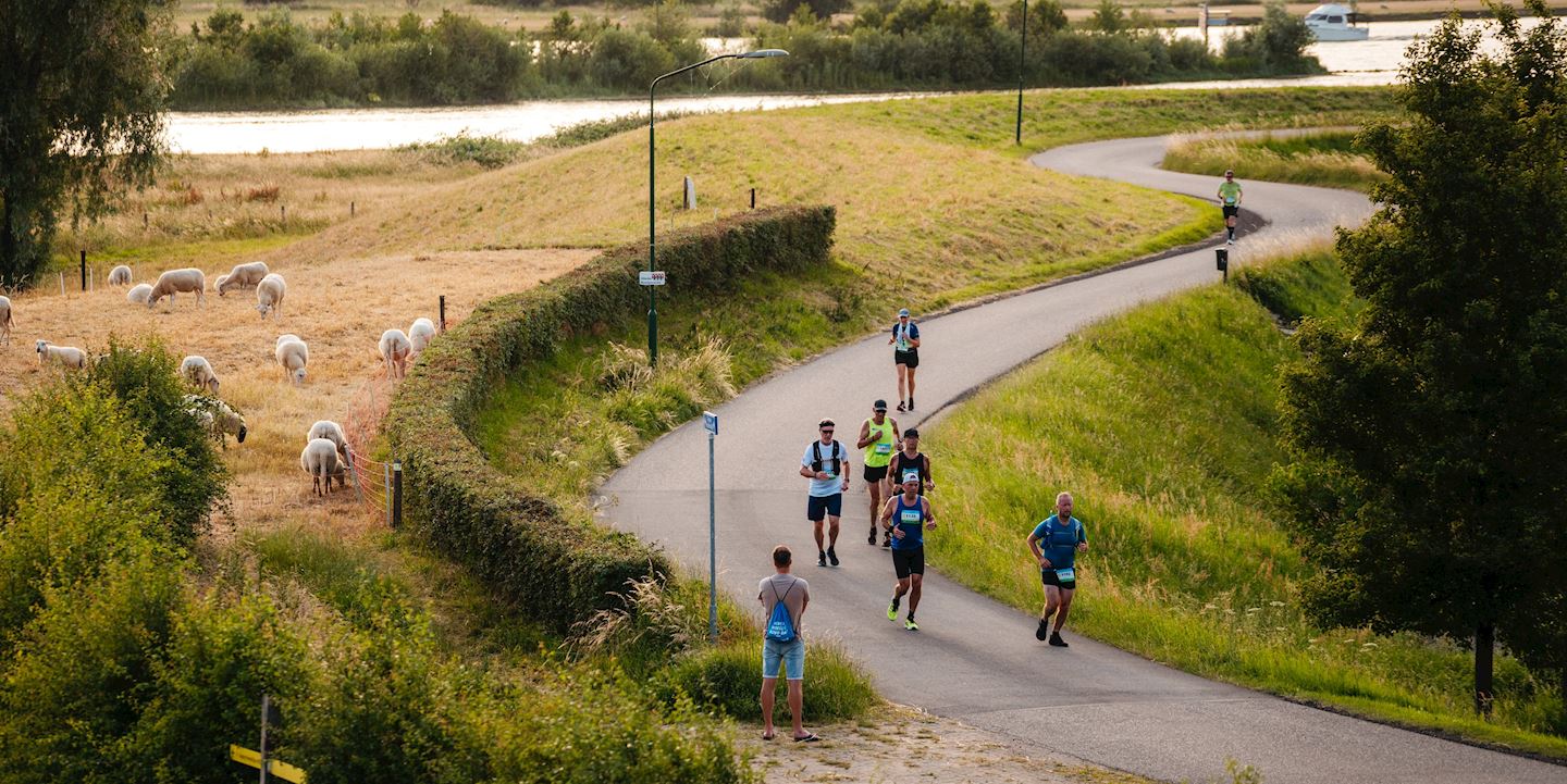 maasdijk marathon