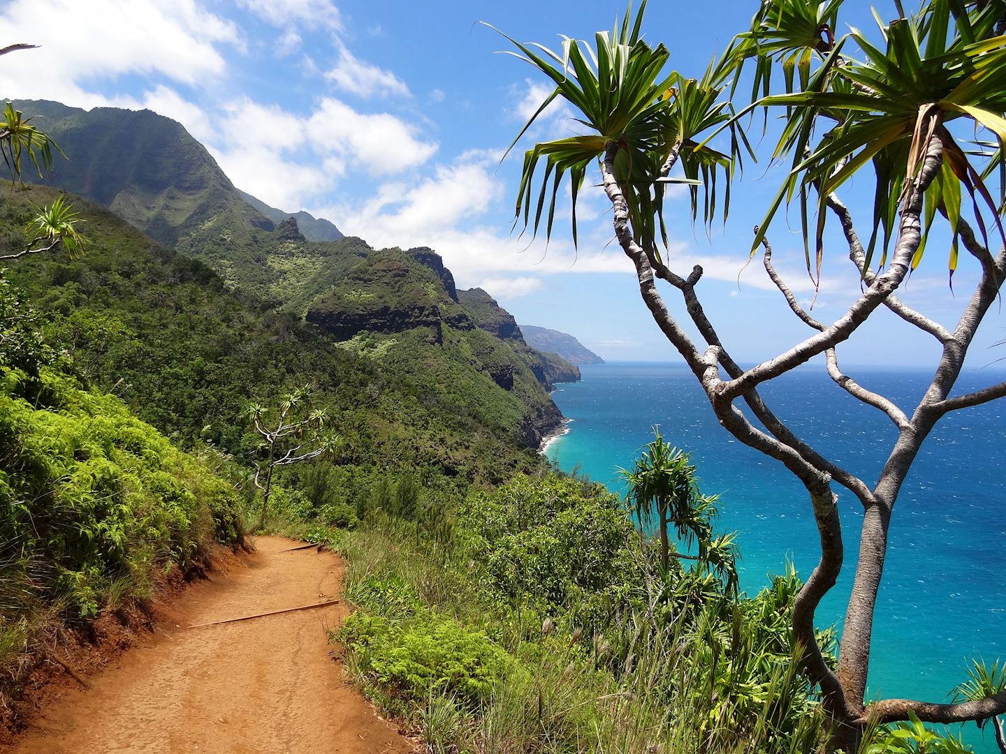 magic of hawaii virtual run