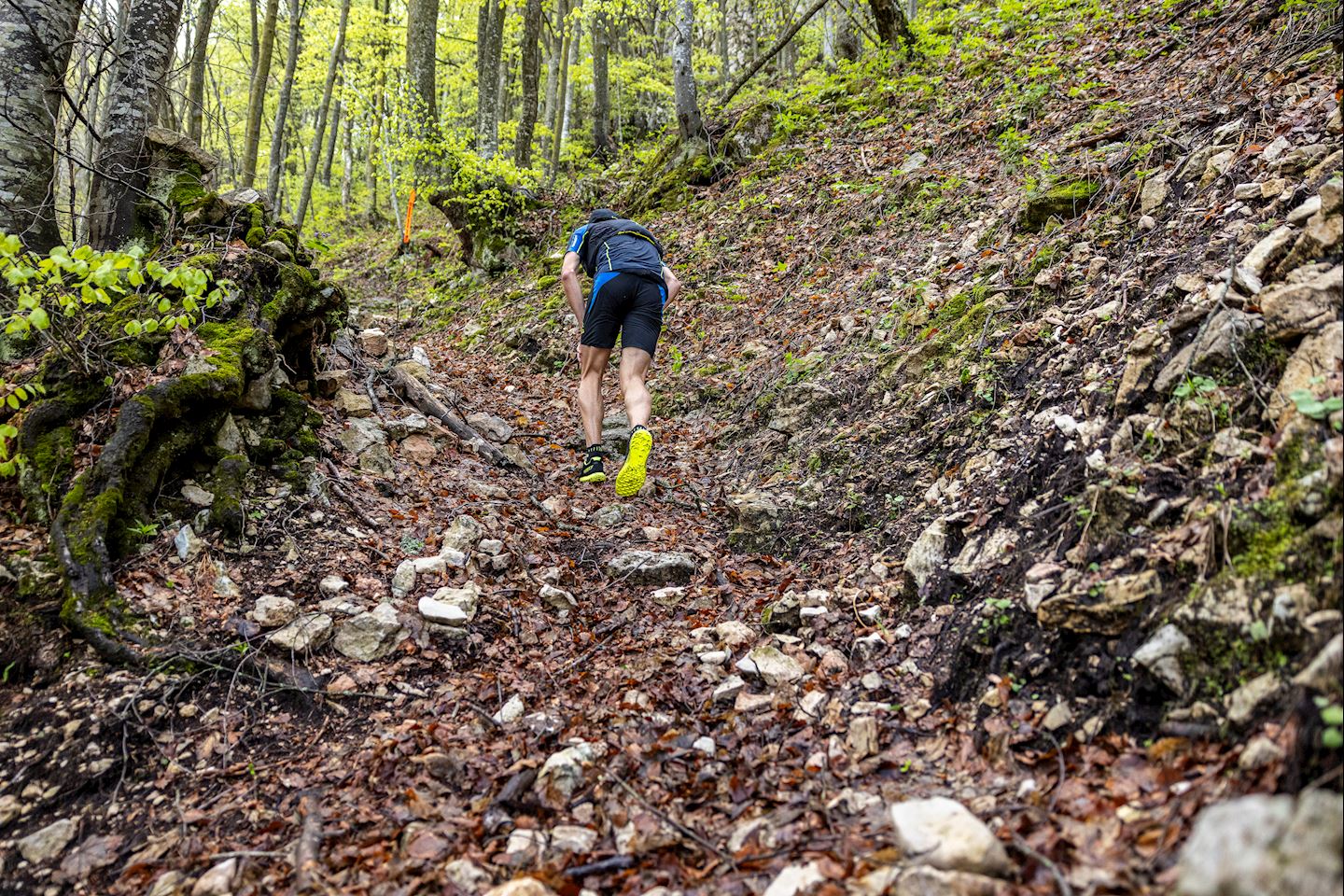 malcesine baldo trail