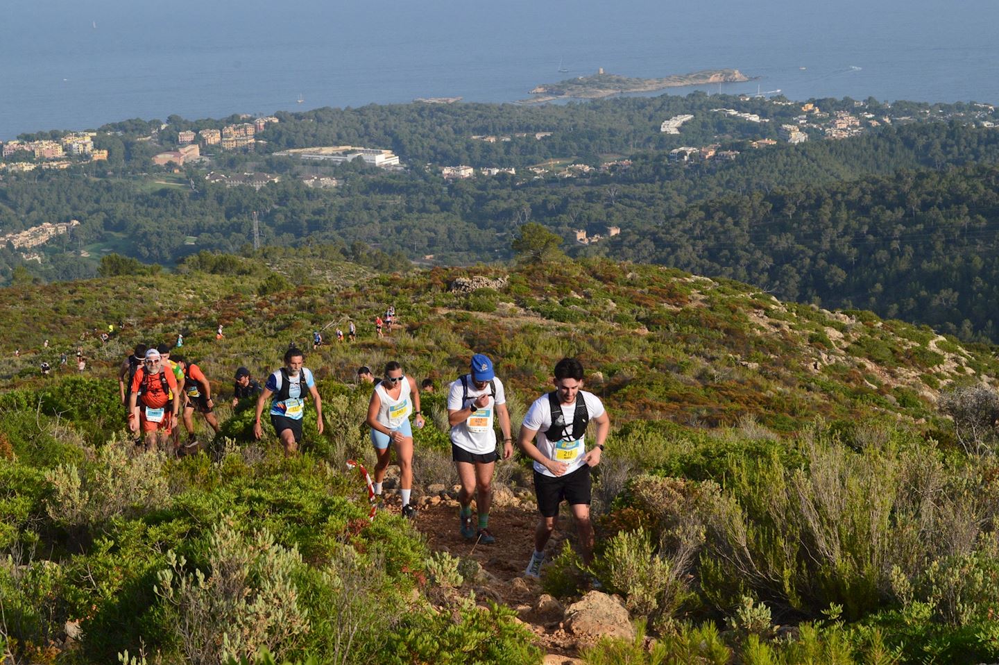mallorca trail running half marathon palma skyline
