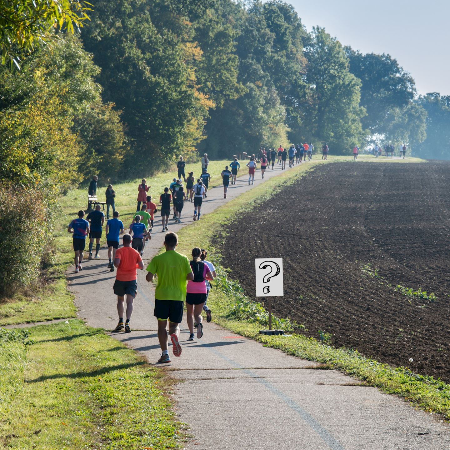 marathon de metz