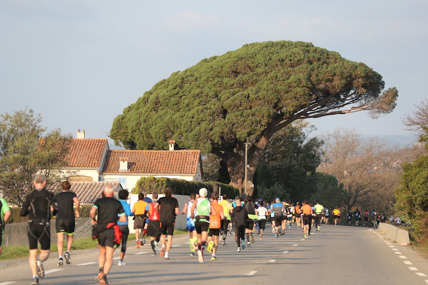 marathon international du golfe de saint tropez