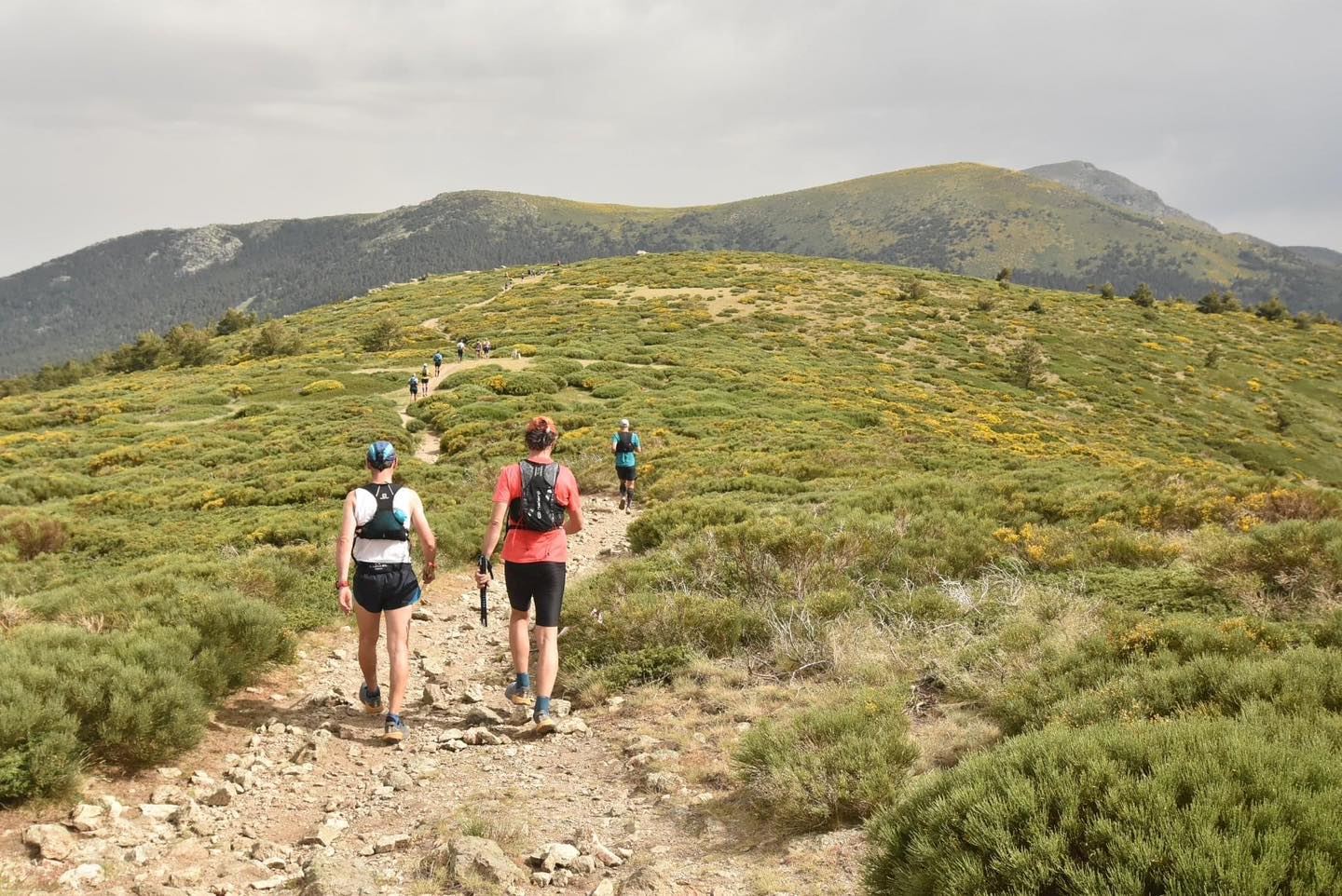 maraton alpino madrileno