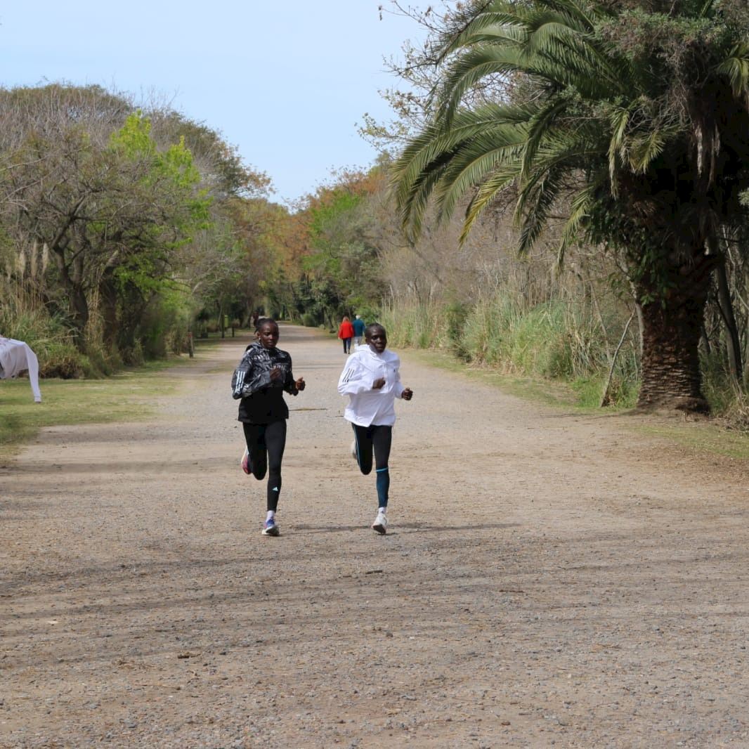 maraton internacional de la ciudad de buenos aires