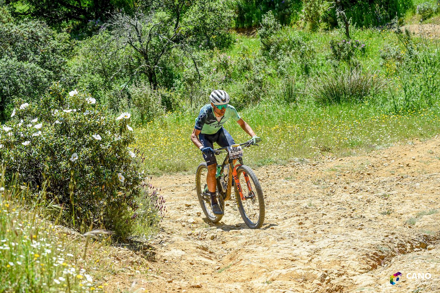 maraton mtb la guzman el bueno
