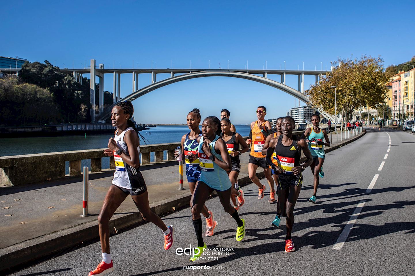 maratona do porto edp
