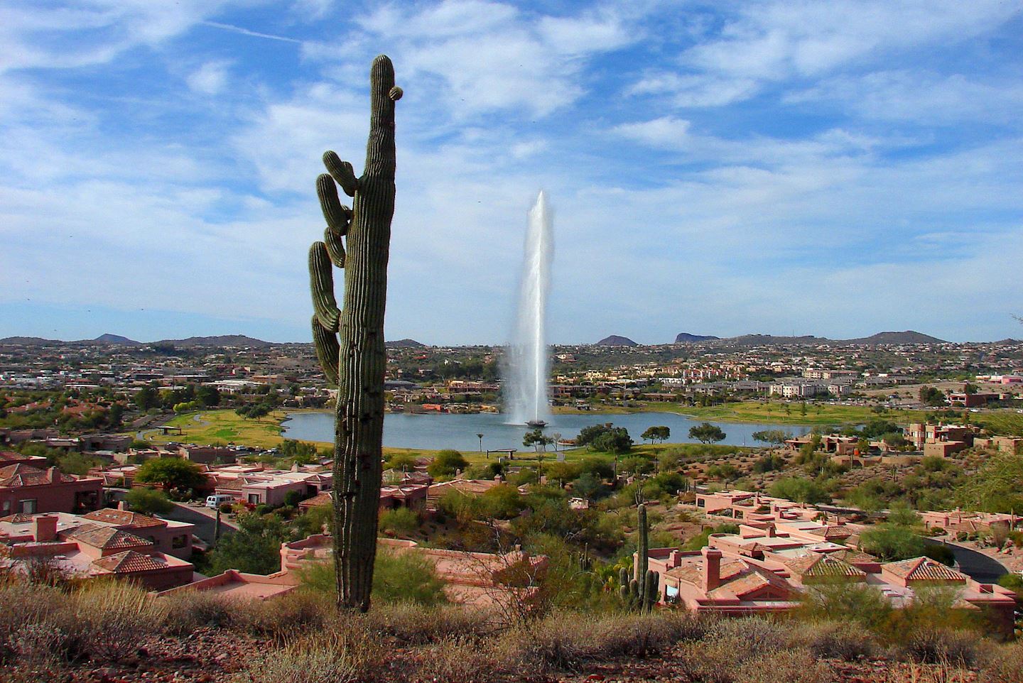 mcdowell mountain frenzy