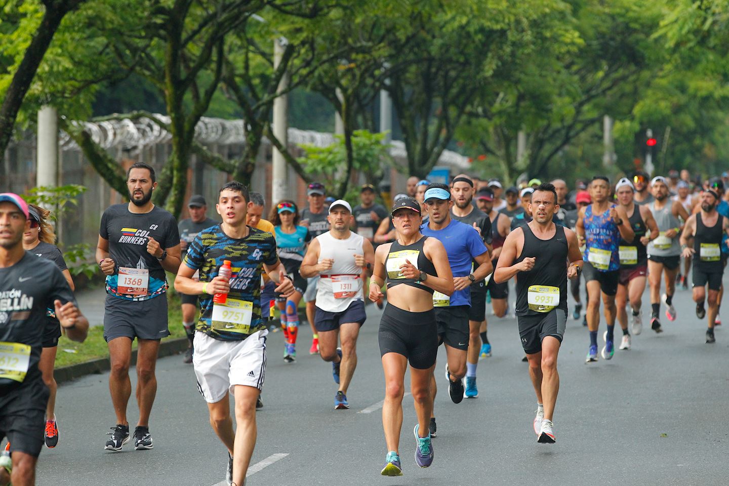 Maratón Medellin, 01 Sep 2024 World's Marathons