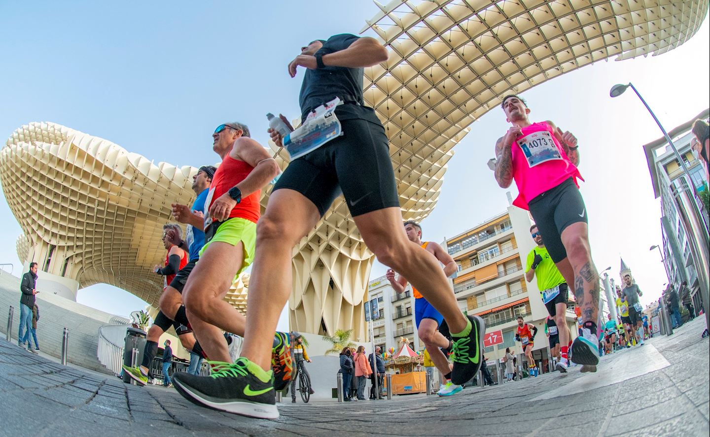 Seville Half Marathon, 28 Jan 2024 World's Marathons