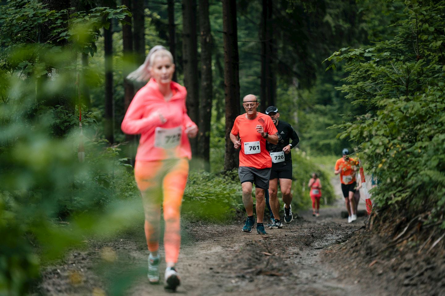 medvednica trail