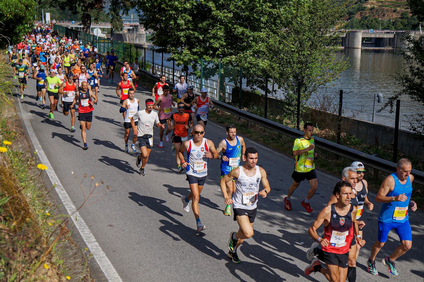 meia maratona do douro vinhatei