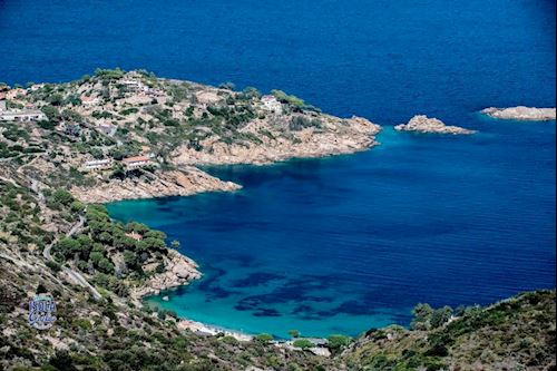 Mezza Maratona dell’Isola del Giglio
