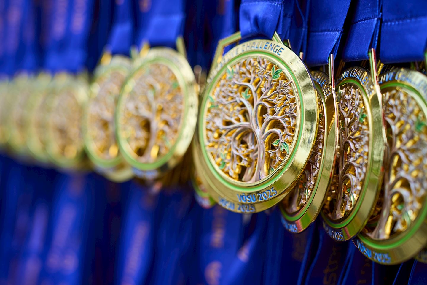 midsummer challenge vosu