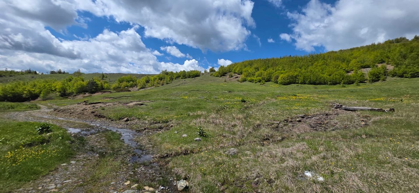 migrant trail race fushe arrez