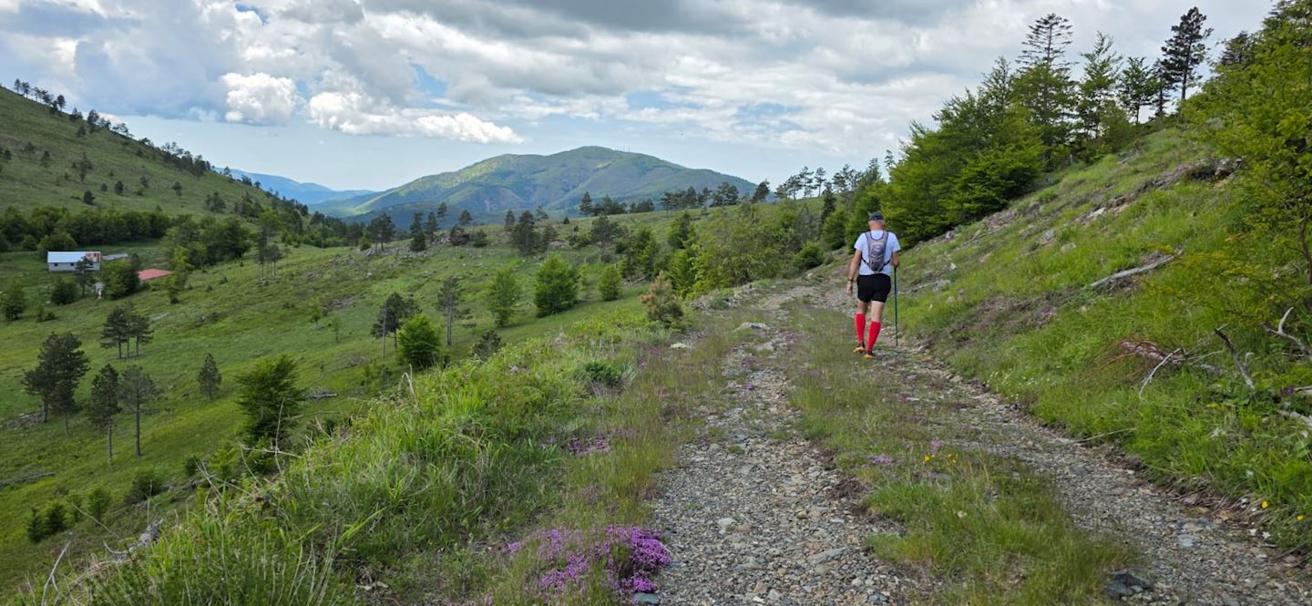 migrant trail race fushe arrez