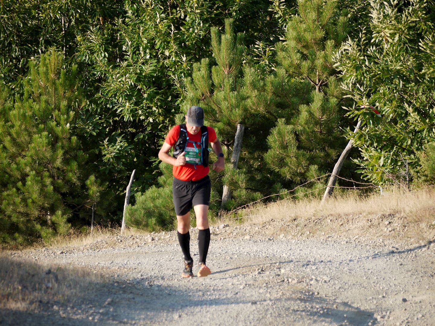 migrant trail race fushe arrez