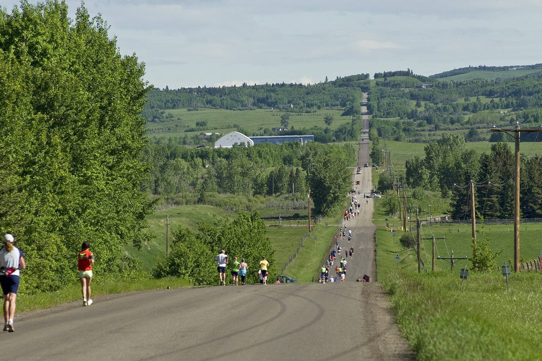 millarville run to the farmers market half marathon