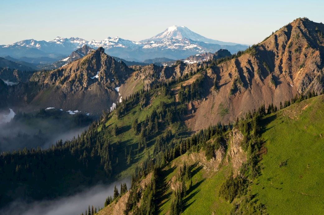 mount rainier trail half marathon