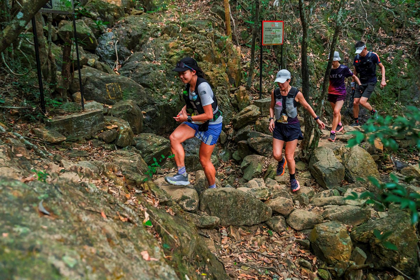 mountain range trail series tai po