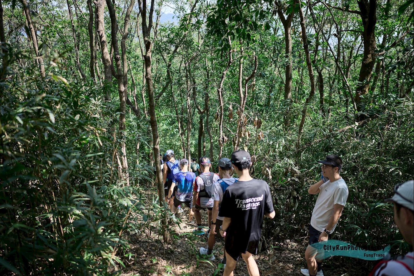 mountain range trail series tai po