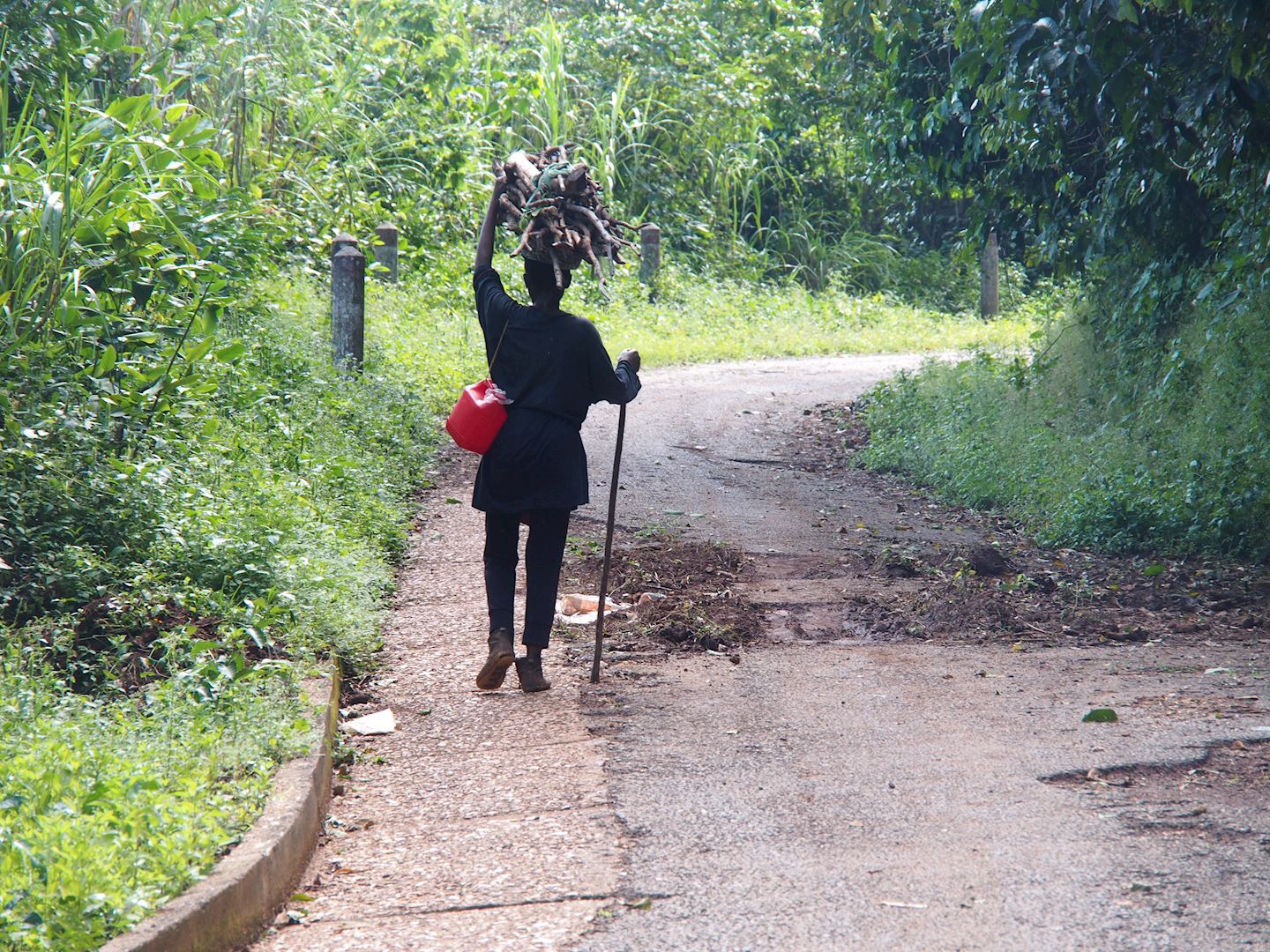 mt agou marathon