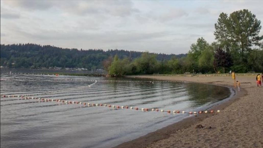 mudskipper us sammamish open water swim seattle