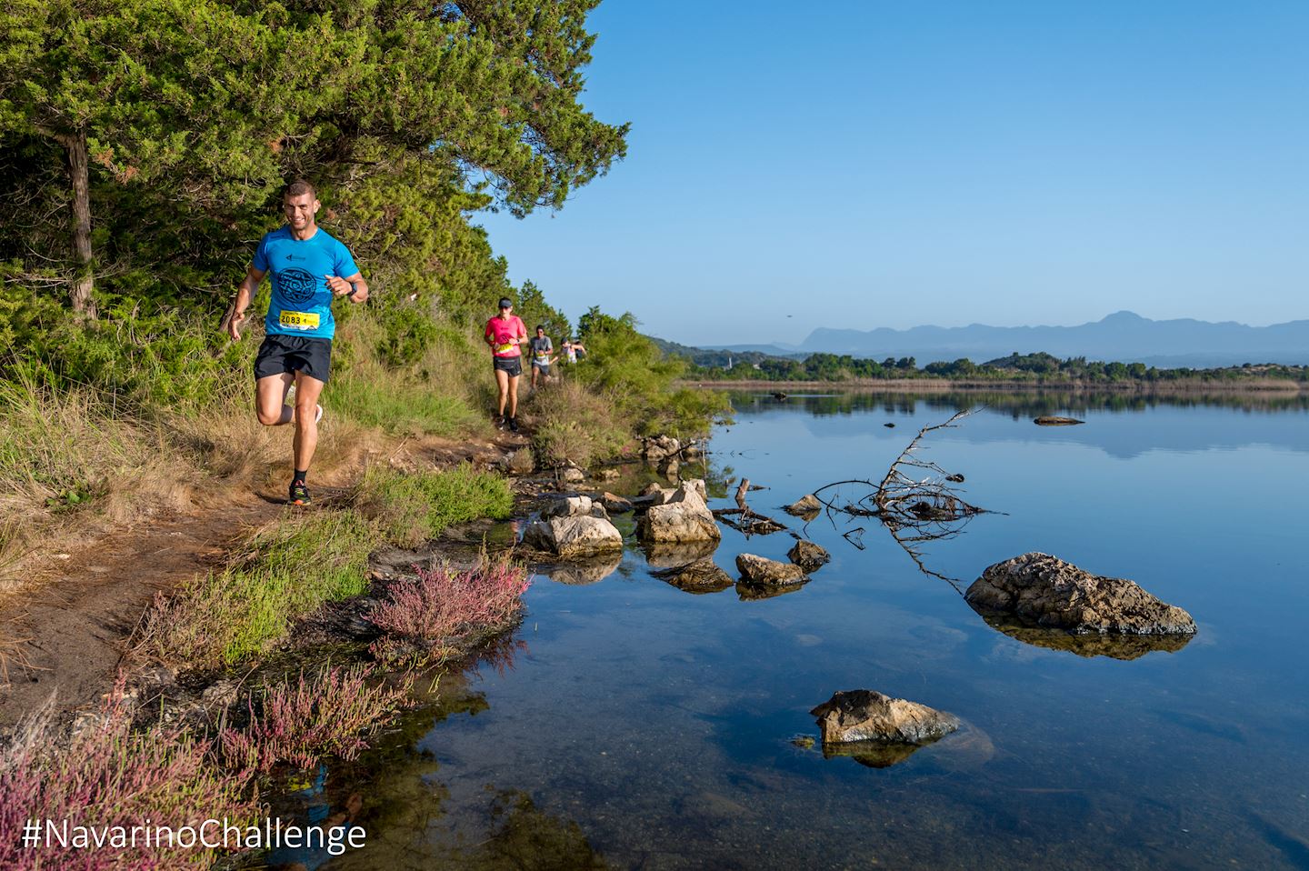 navarino challenge
