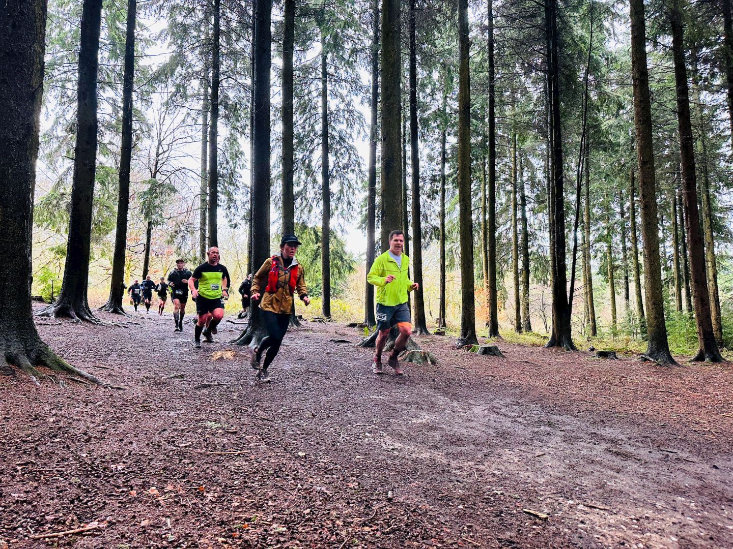 new forest hinton admiral trail run