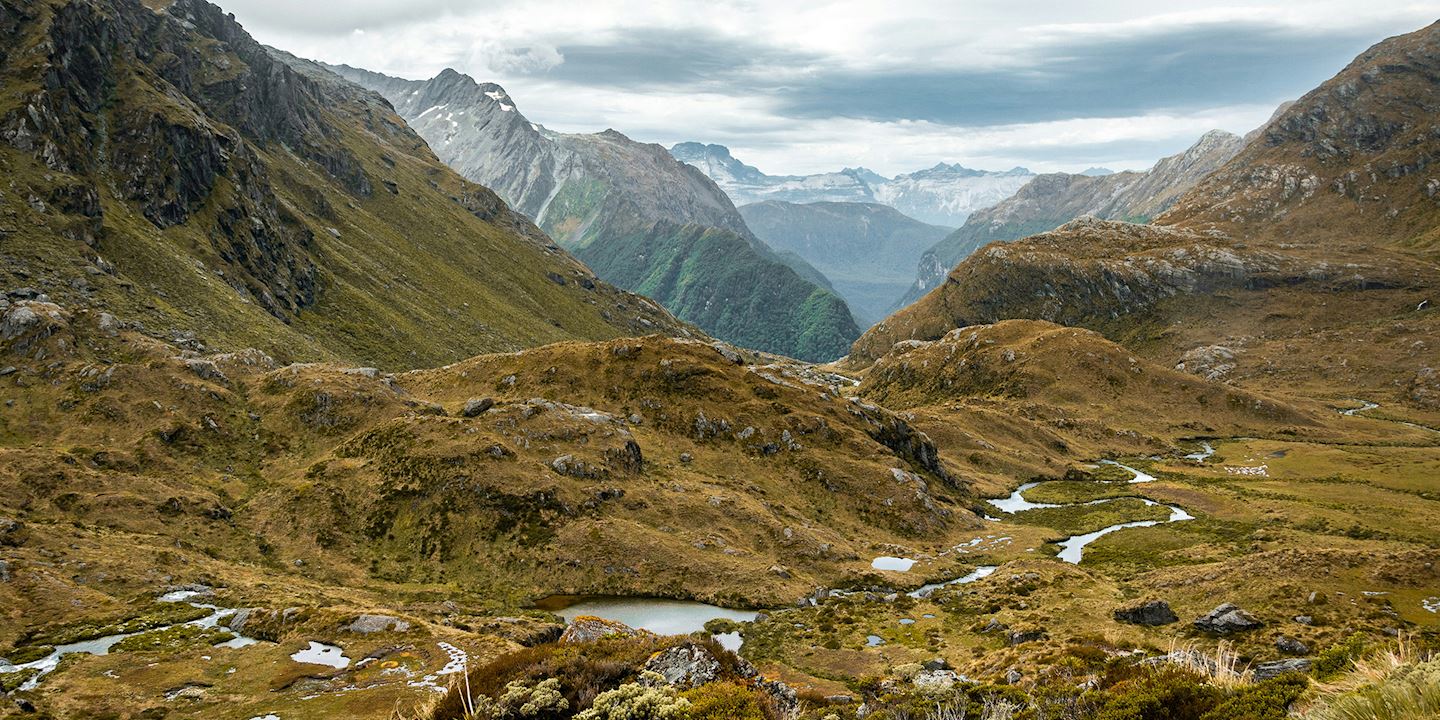 new zealand running retreat