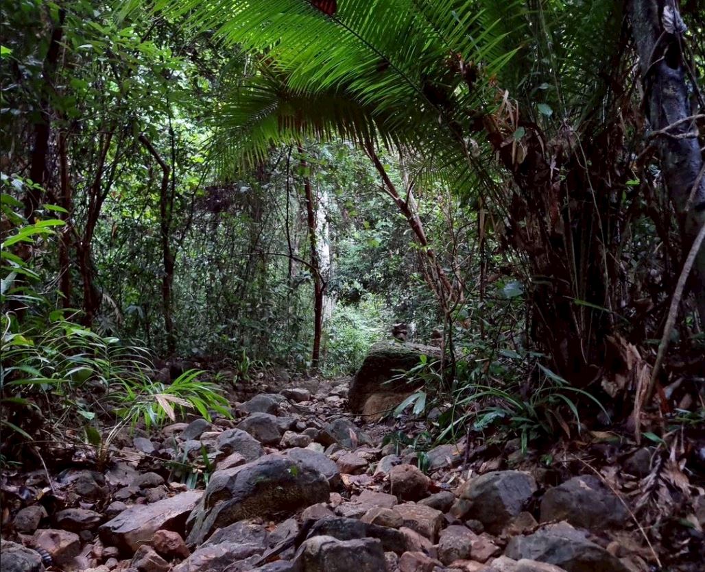 ngorn nak trail