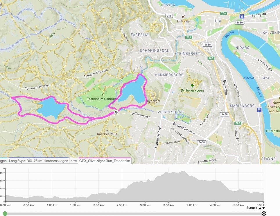 Night Run Trondheim 路线图