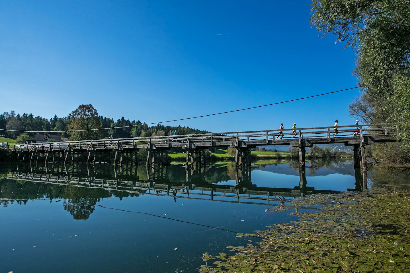 novo mesto half marathon