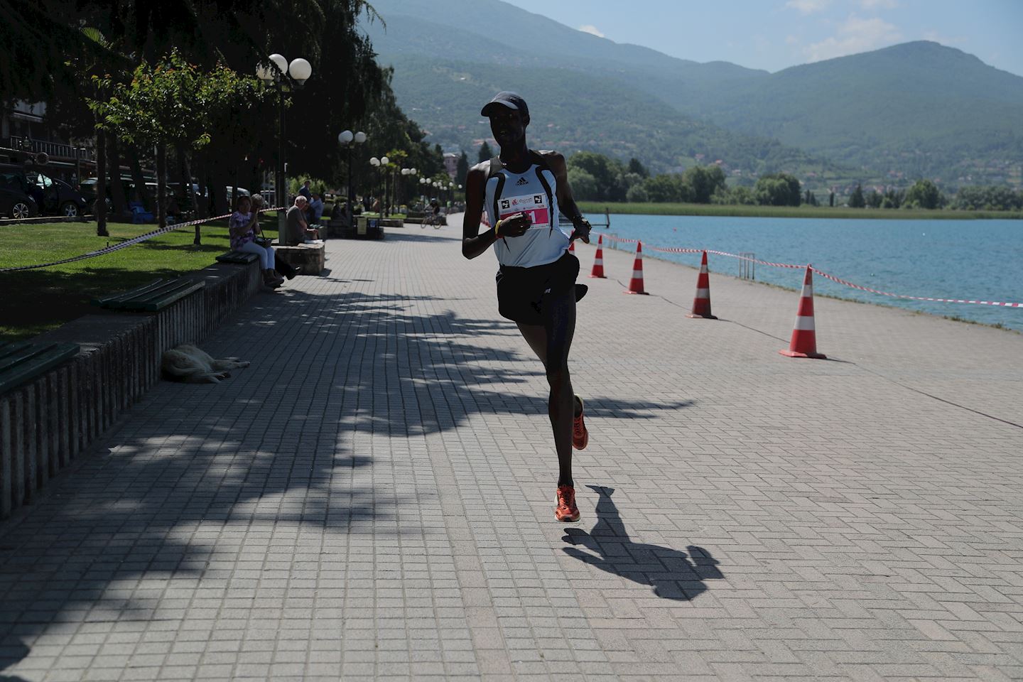 ohrid trcat