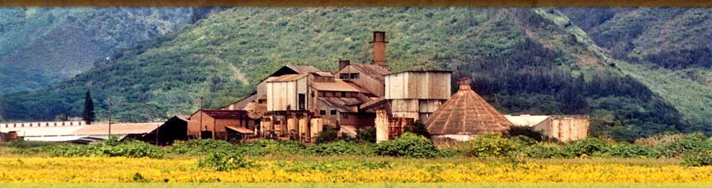 old koloa sugar mill run