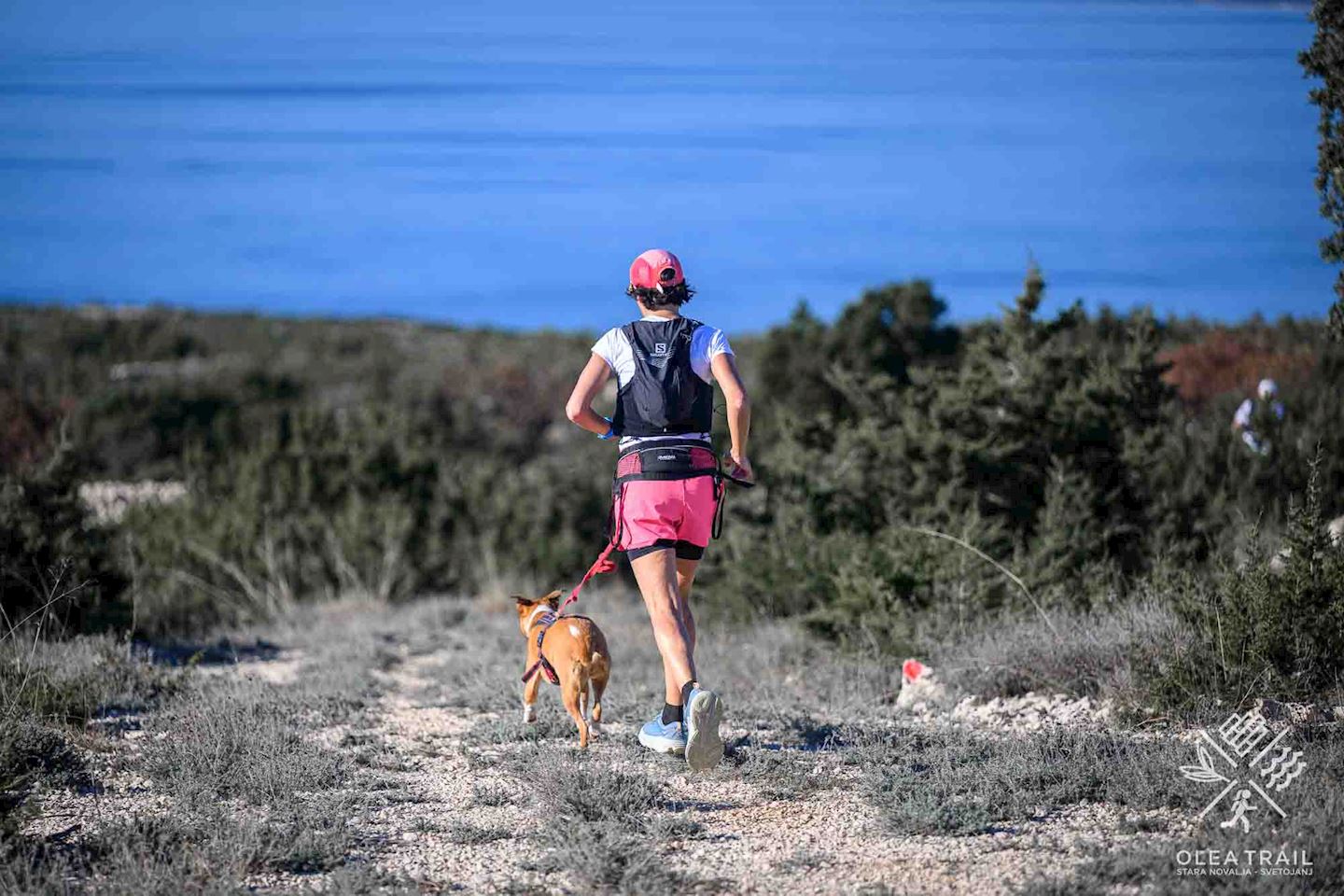 olea trail
