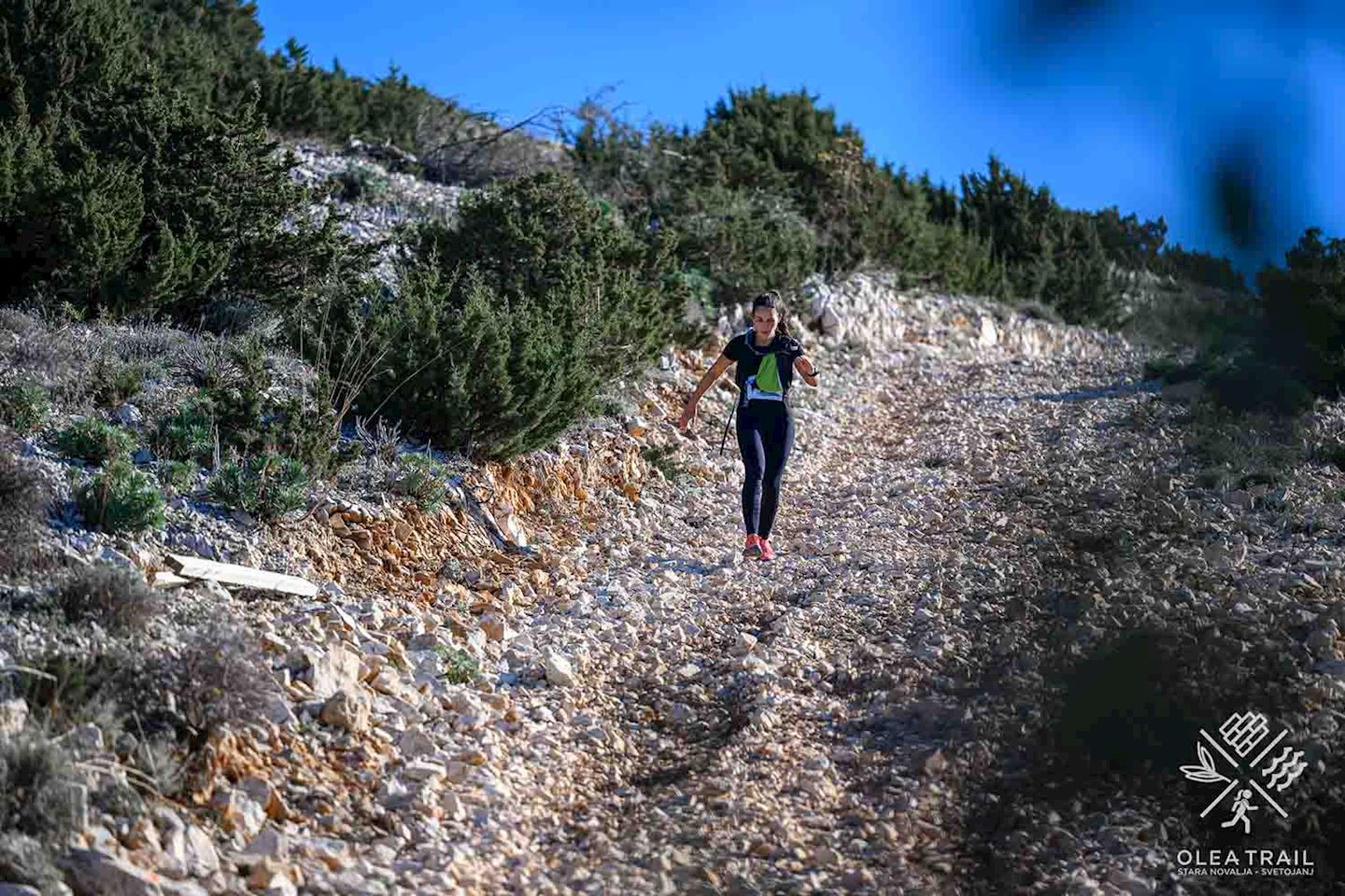 olea trail