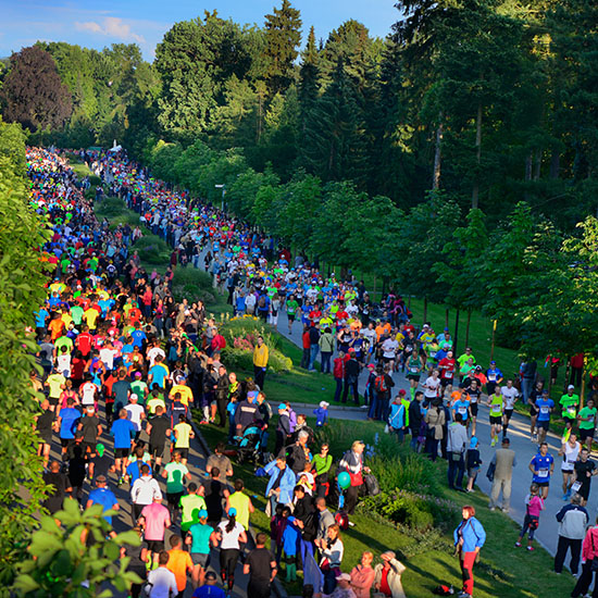 olomouc half marathon