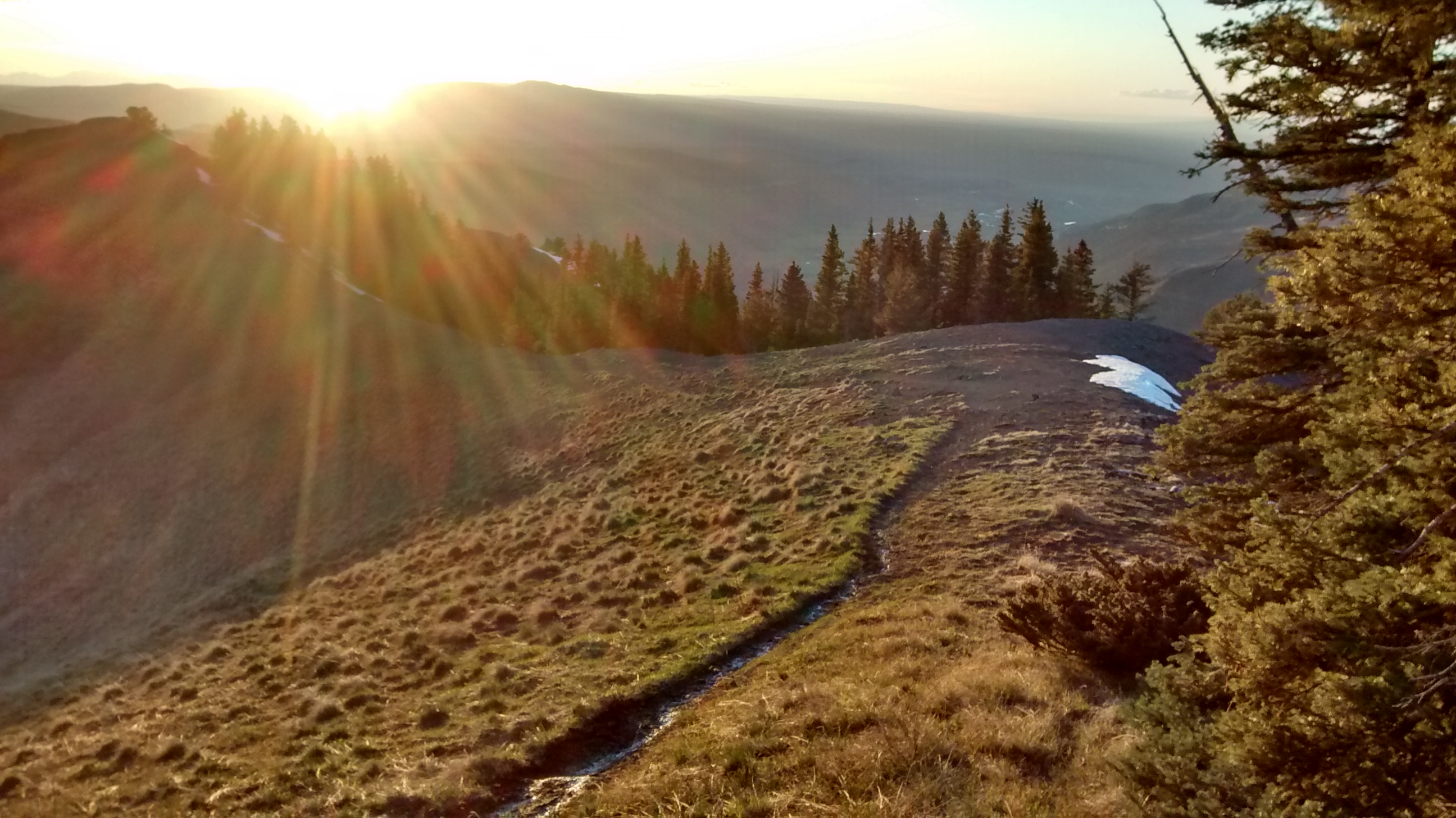 ouray 100 endurance run