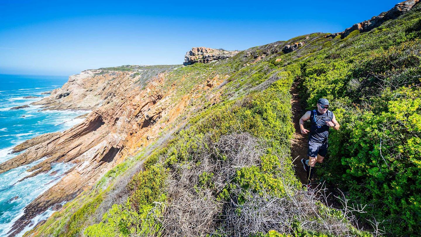 oyster catcher trail run