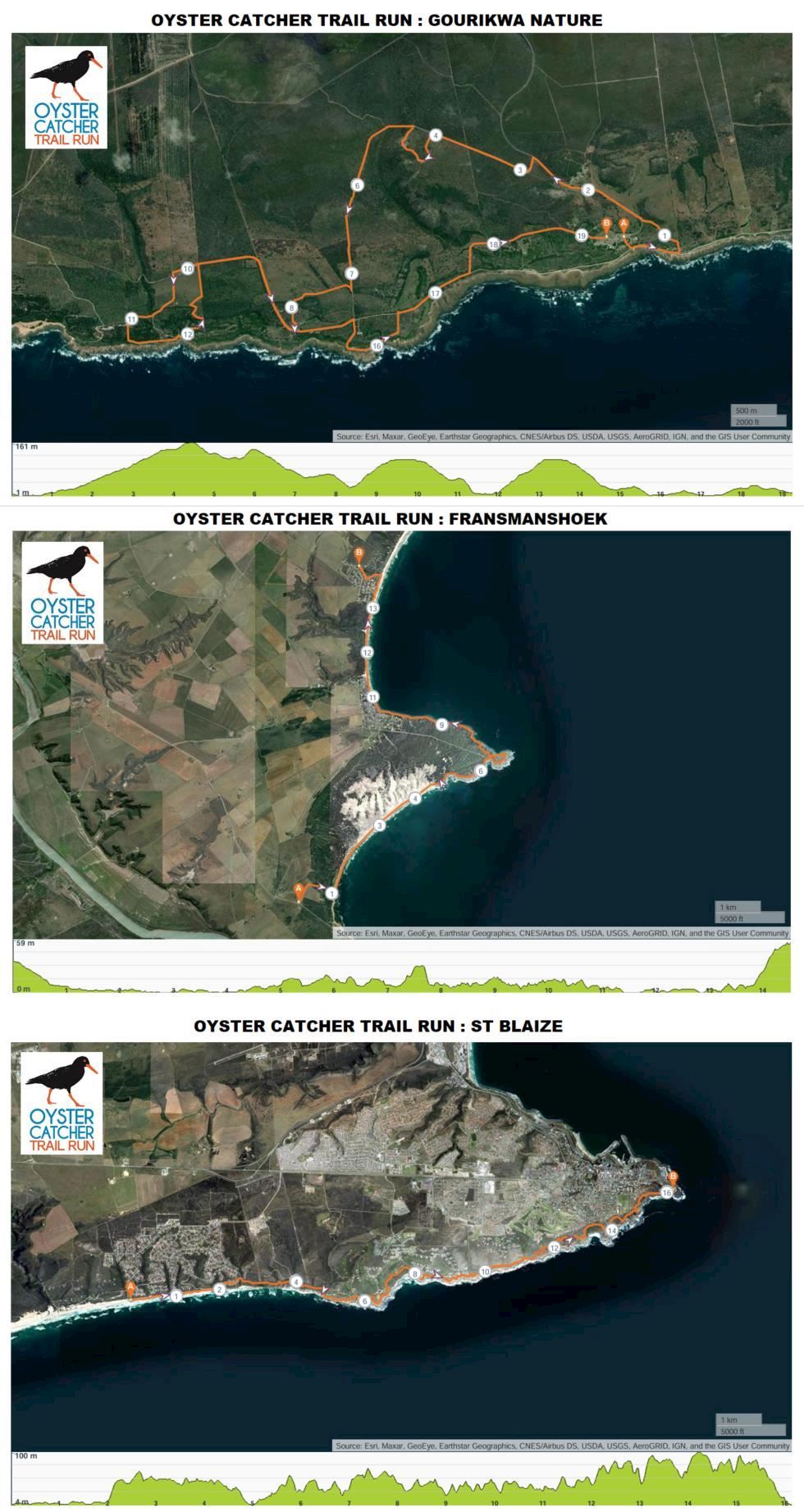 Oyster Catcher Trail Run Mappa del percorso